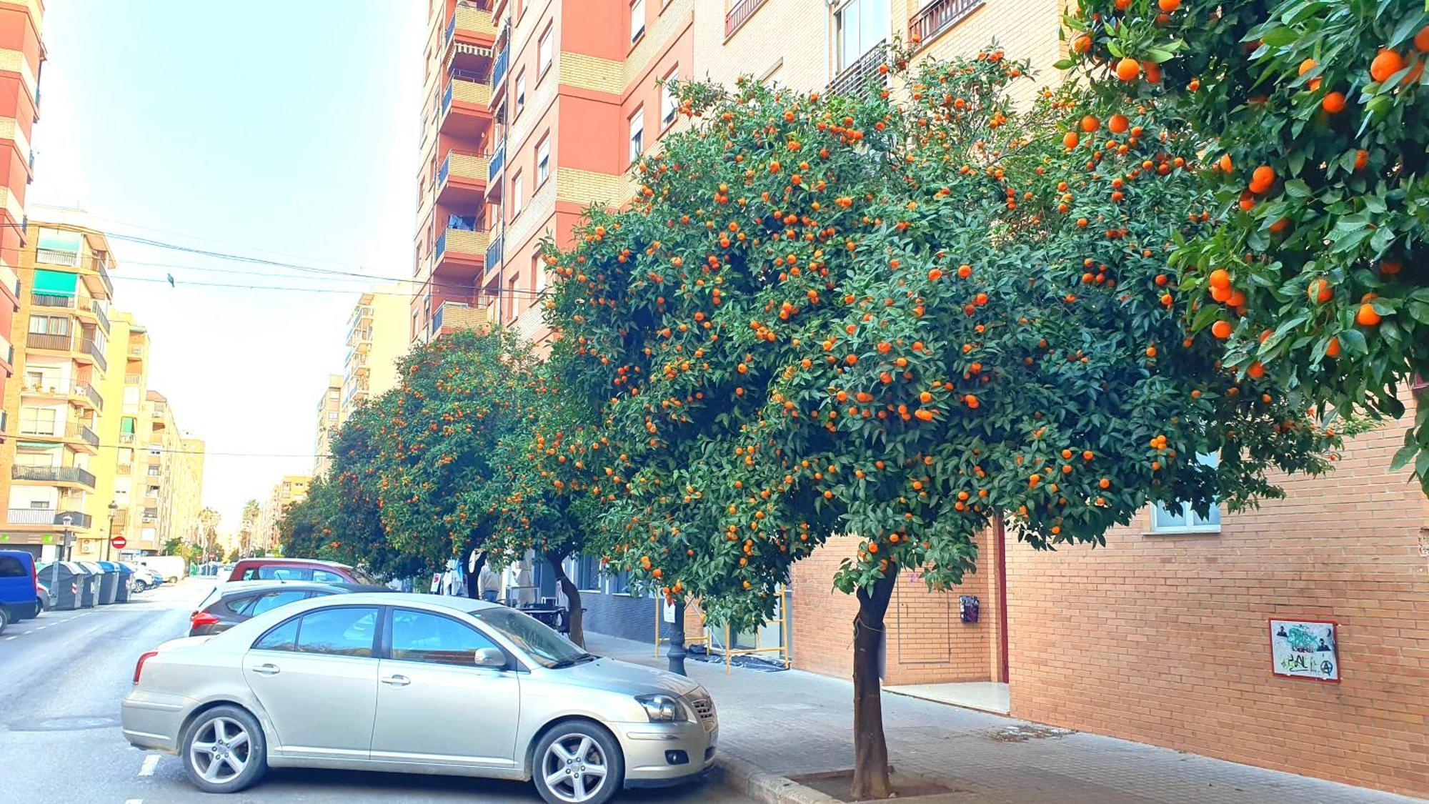 Nuevo Apartamentos Costa Del Alma Walencja Zewnętrze zdjęcie